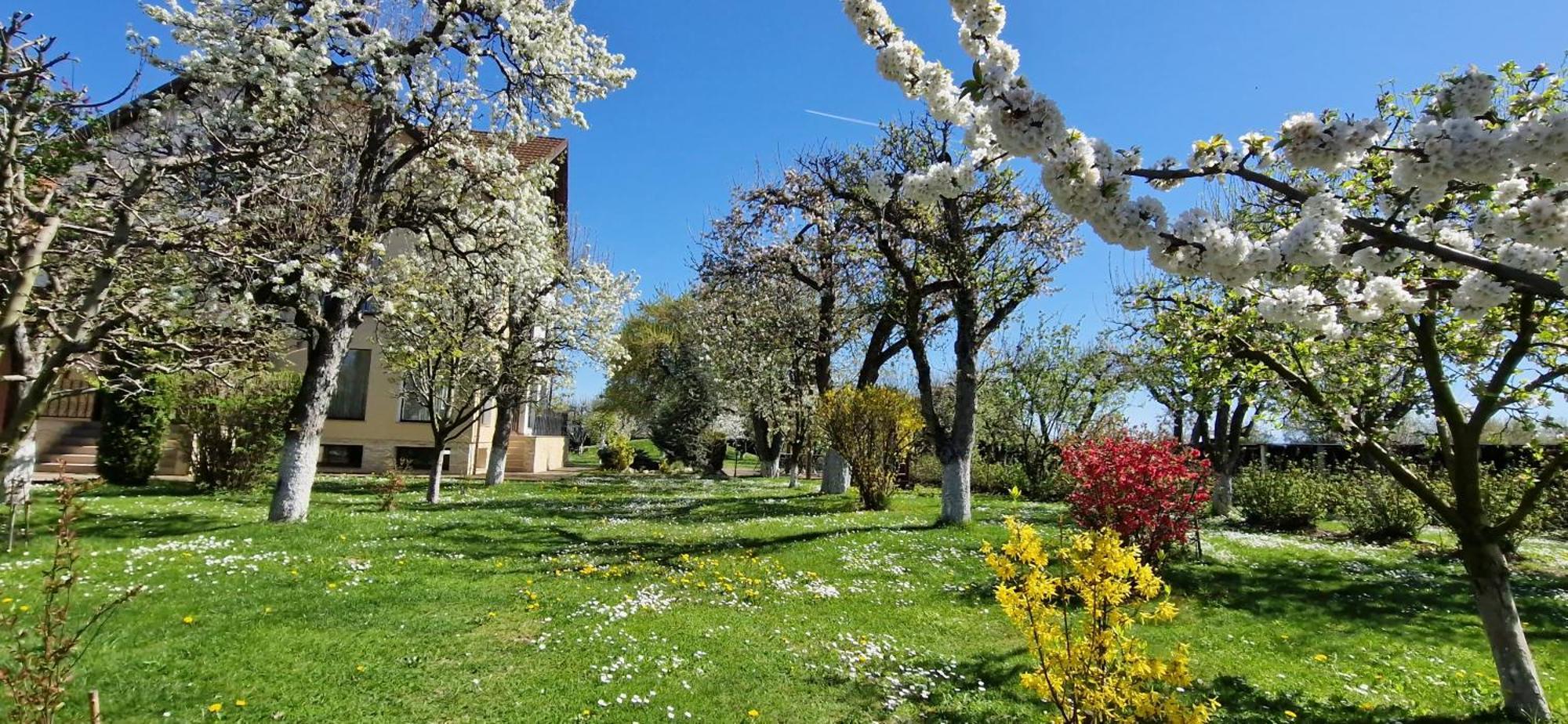 Stupina Braşov Exterior foto