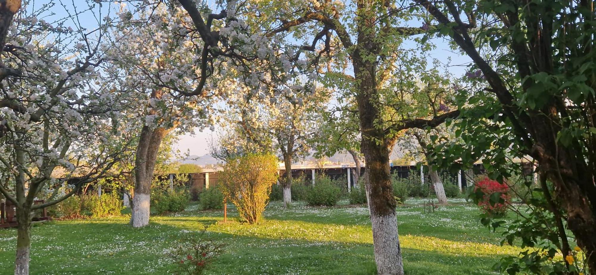 Stupina Braşov Exterior foto