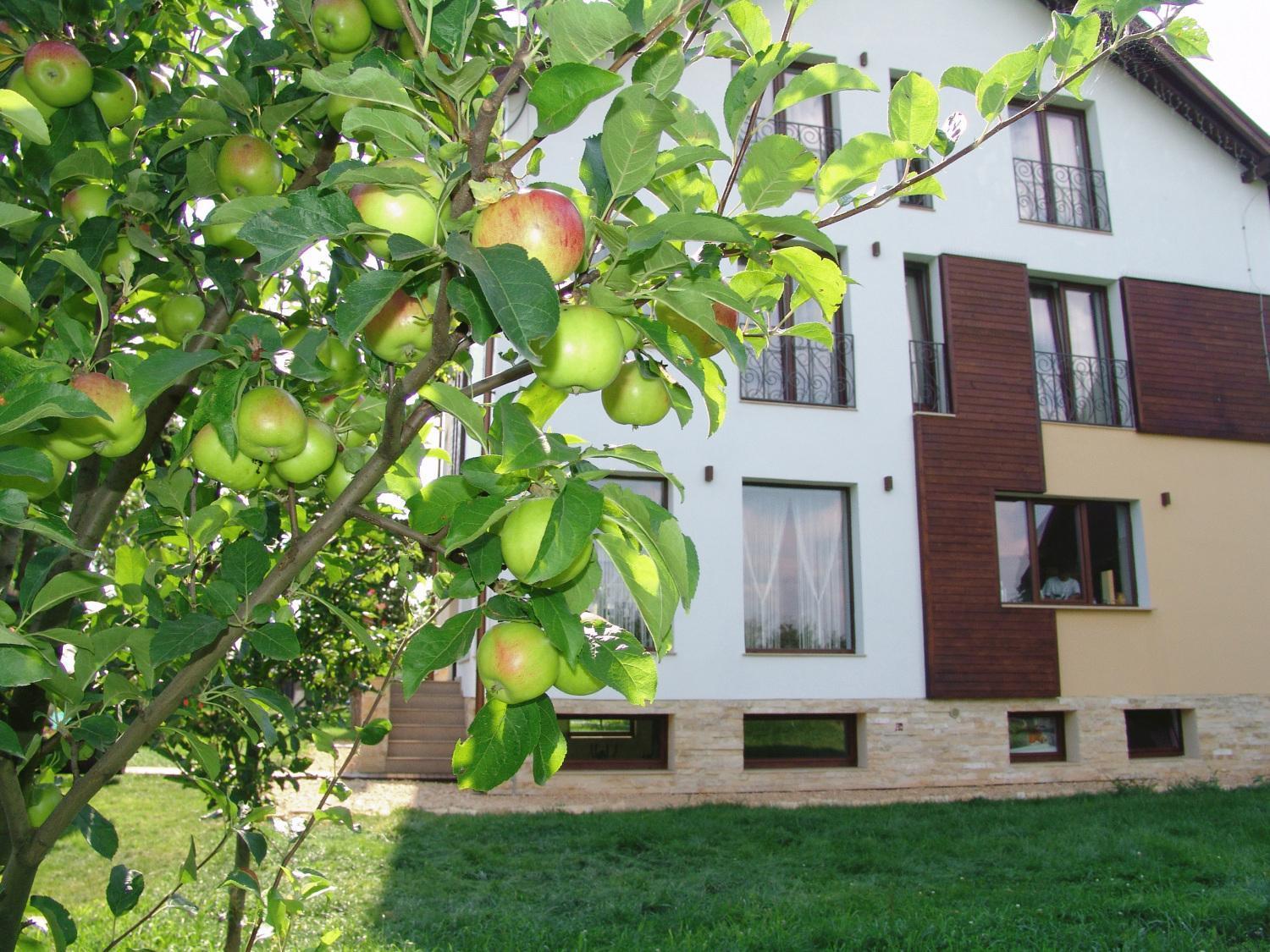 Stupina Braşov Exterior foto