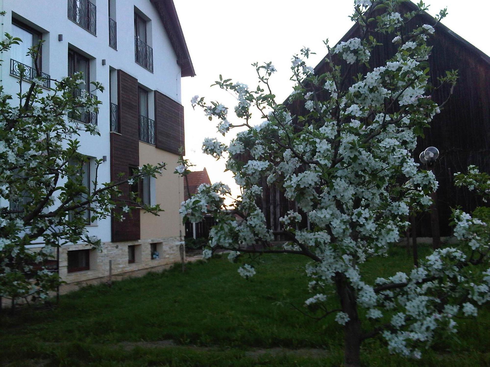 Stupina Braşov Exterior foto